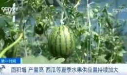 汾阳吃瓜群众免费吃瓜微信,免费吃瓜活动引全民热议