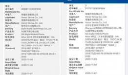 荣耀100最新爆料参数