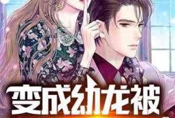 娱乐圈全员爆料小说推荐,揭秘明星背后的真实故事