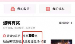 头条视频爆料奖励,揭秘爆料达人如何轻松赚取丰厚回报