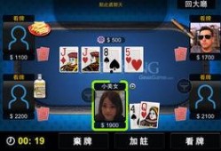 扑克王在线在线观看,揭秘网络扑克世界的激情与策略