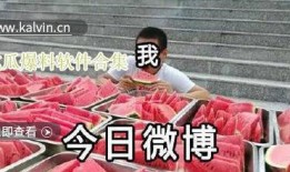 吃瓜爆料全集视频下载免费,免费下载，一网打尽热门事件