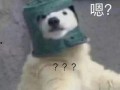 羊了个羊娱乐吃瓜,娱乐吃瓜，揭秘网络爆款游戏背后的故事
