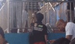 酒店偷拍最新事件爆料视频,最新爆料视频揭露惊人内幕