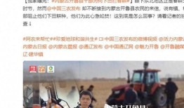 仙桃网红爆料新闻报道视频,揭秘热门新闻报道背后的真相